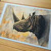 Print · African Rhino