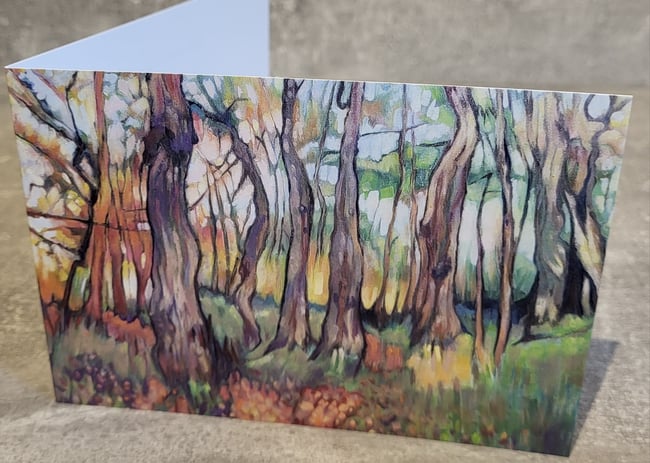 Greeting Cards Pack of 4 - £10