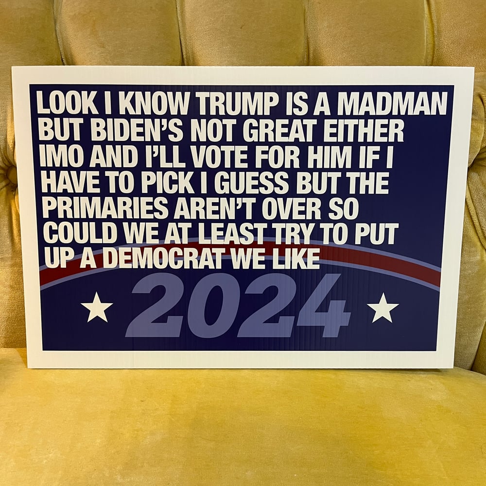 Long Paragraph About This Horrible Election 2024 campaign poster