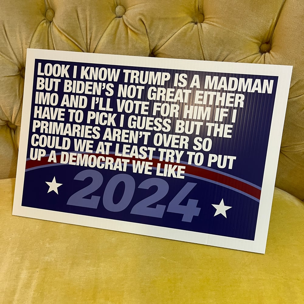 Long Paragraph About This Horrible Election 2024 campaign poster