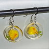 Marigold medium round resin ear wires