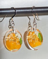 Orange marigold oval ear wires