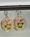 Soft yellow pansy large oval ear wires