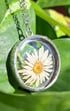 3D Daisy necklace Image 2