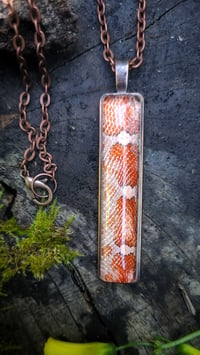 Image 4 of Red Corn Snake Skin Pendant