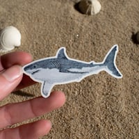 Image 3 of Shark Sticker