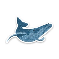 Image 2 of Humpback Whale Sticker