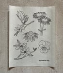 Image 1 of Stick & Stitch Embroidery Pattern Set - Floral