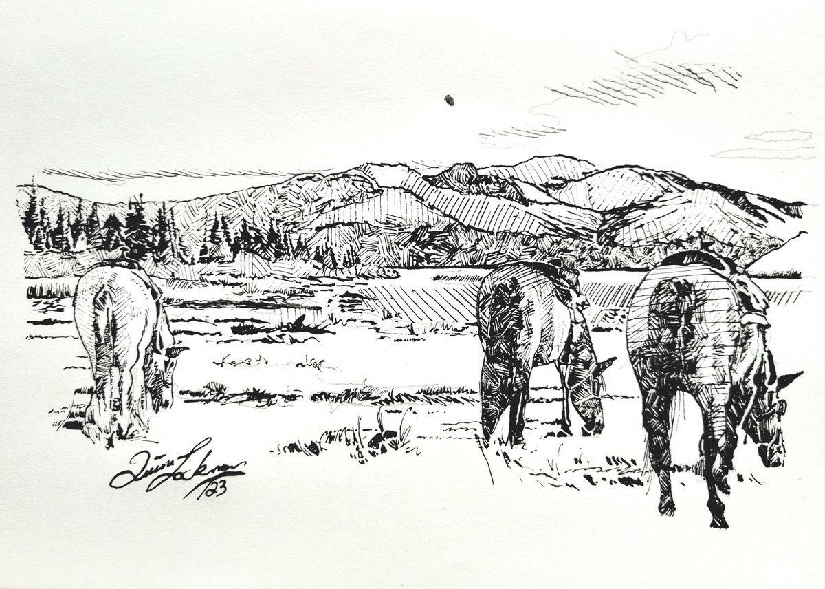 Saddle Quinn Lockman saddle-quinn-lockman