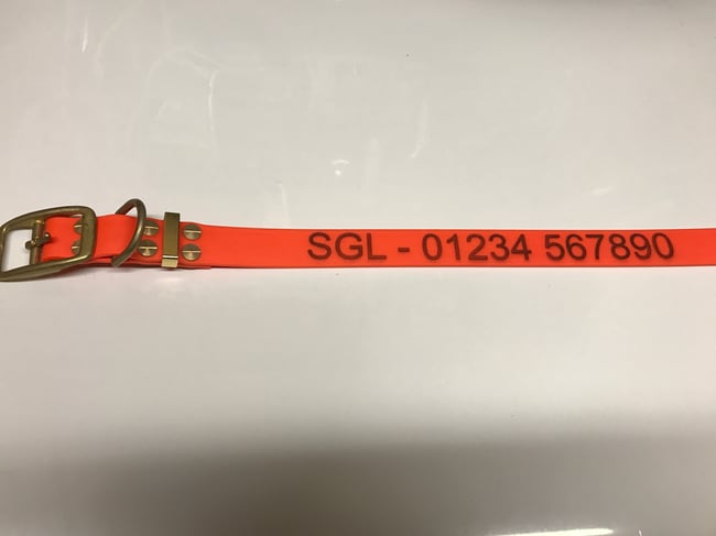 1" Biothane®SuperHeavy Collar Fluro-Orange