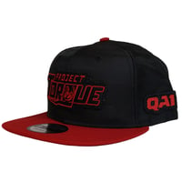 Image 2 of Project Torque Collab Hat