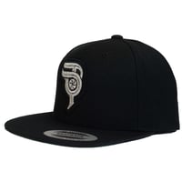 Image 2 of New Silver Project Torque Logo Cap