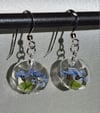 Forget-me-not small round faceted ear wires