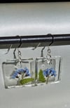 Forget-me-not small square ear wires