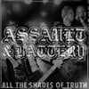 ASSAULT & BATTERY 'All The Shades Of Truth' 12" LP