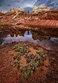 Oasis of Battleship Rock