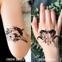 Image 1 of Skull Tattoos