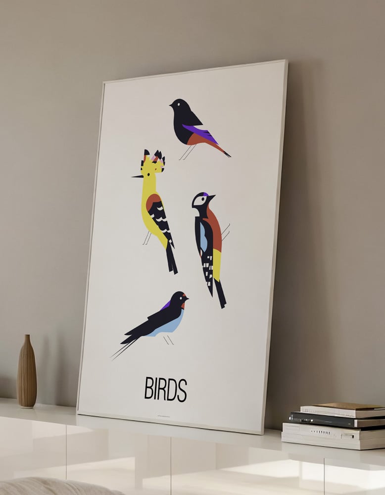 Image of BIRDS