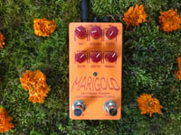Image 1 of Marigold