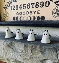 Image 1 of Cat ghost 
