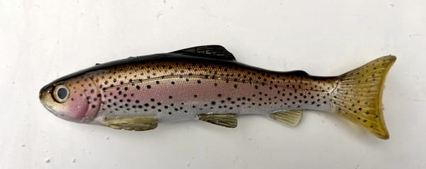 Image of 7.5" Line Through/Weedless Trout - Golden Rainbow
