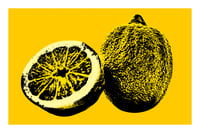 Image 1 of Lemon Postcard