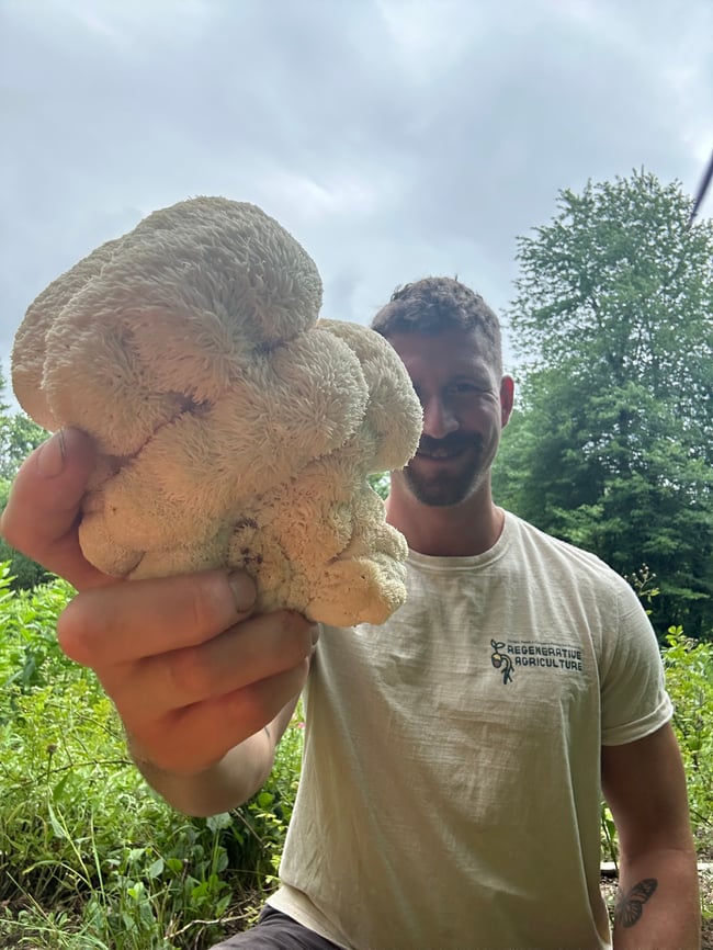 MycoManna  Adaptogenic Mushroom Elixir