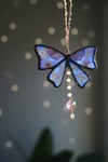 Neon blue butterfly 