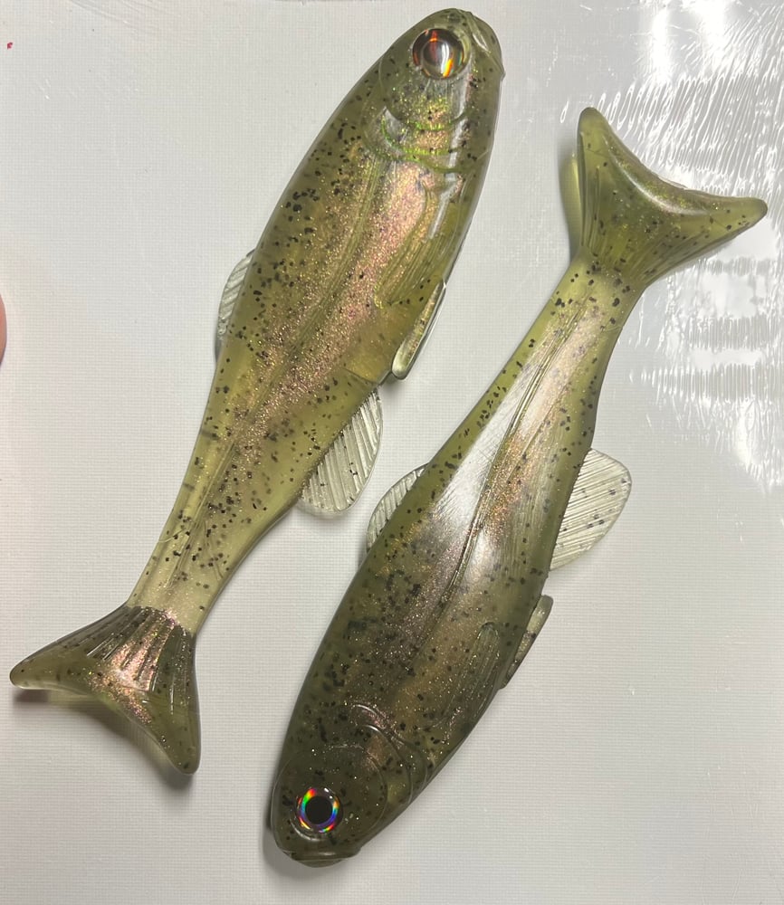 Roma Trout - GHOST TROUT - Image 5