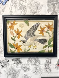 Image 1 of Falcon Painting (Original)
