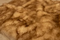 Image 1 of 82. Fur layer 