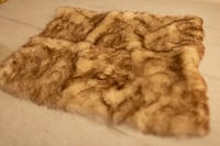 Image 2 of 82. Fur layer 