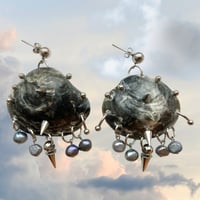 Image 1 of Pierced Jingle Shell Earrings 