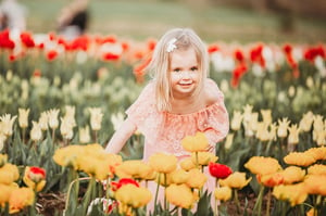 Image of WICKED TULIPS 2024 with BELLA BLUE PHOTOGRAPHY