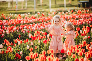 Image of WICKED TULIPS 2024 with BELLA BLUE PHOTOGRAPHY