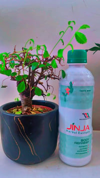 JINJA HERBAL EXTRACTS