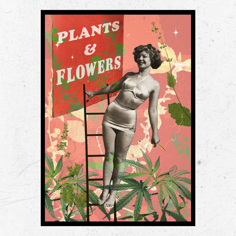 Image of Plants & Flowers Shop - A3 Print by Valentina Vinci