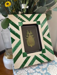 Retro Leaf Insect Box