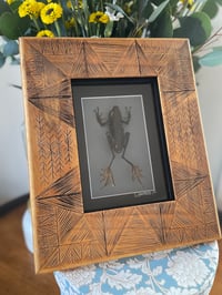 Wooden Common Tree Frog Box