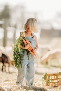 Farm- for Denise 