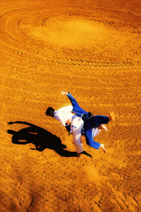 Bull Fight
