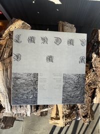 Image 3 of  TONGUE DEPRESSOR & Austin Larkin 'Landau Bar' 12" vinyl 