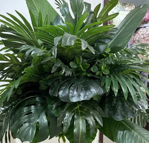 Image of 100 Cm Palm greenery flower Centerpiece 