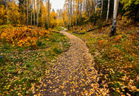 Image 2 of Tesuque Autumn 