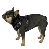 Image 4 of Traditional Tattoo  Adjustable Dog Harness