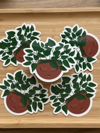 Image 1 of Your Local Plant Mami Sticker - Glossy & Waterproof