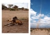 Kenyan Landscapes