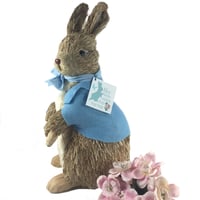 Image 1 of Peter Rabbit Bristle Bunny