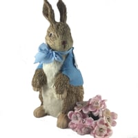 Image 2 of Peter Rabbit Bristle Bunny