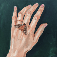 "The moth"